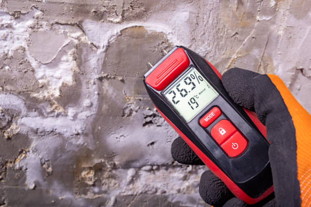Best Fast Mold Removal  in Louisburg, NC