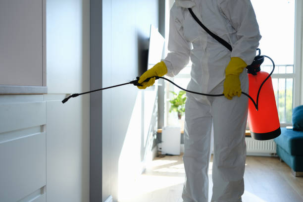 Best Attic Mold Removal  in Louisburg, NC
