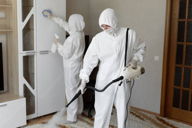 Certified Mold Removal in Louisburg, NC